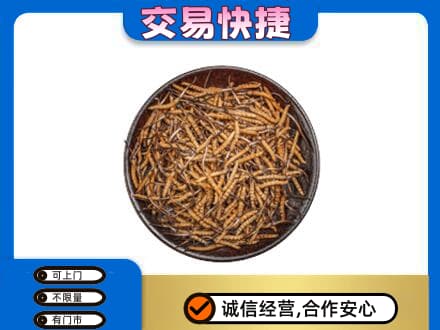 滨州沾化区礼品回收虫草.jpg